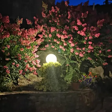 Mirna With Parking Apartamento